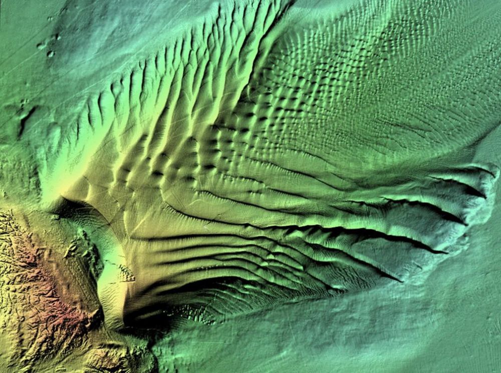 Figure 4. Complex pattern of intersecting sand waves in the Bay of Fundy. Area of seafloor is 2.2 km2. Image by John Hughes Clarke, Ocean Mapping Group, University of New Brunswick.